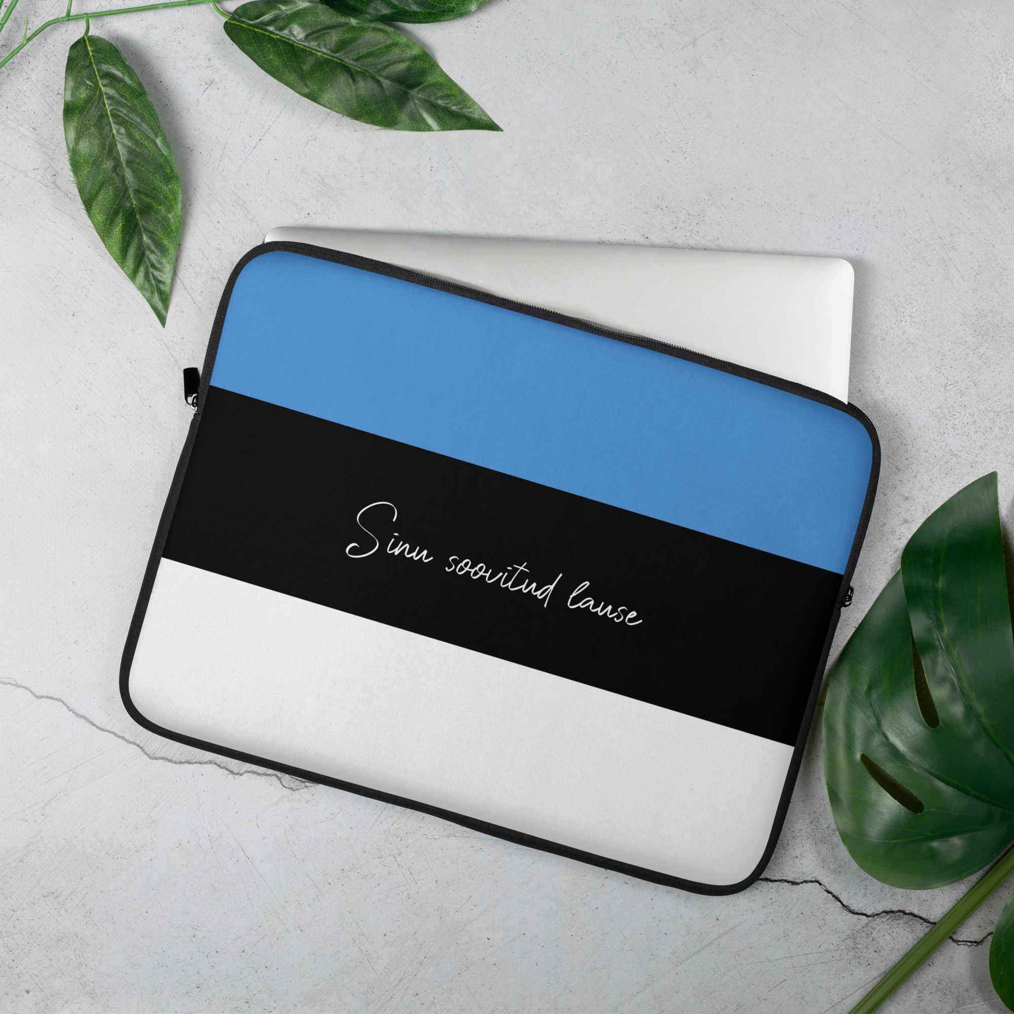 Eesti vabariigi aastapäeva tähistav Eesti lipu värvides laptopi ehk sülearvuti kott